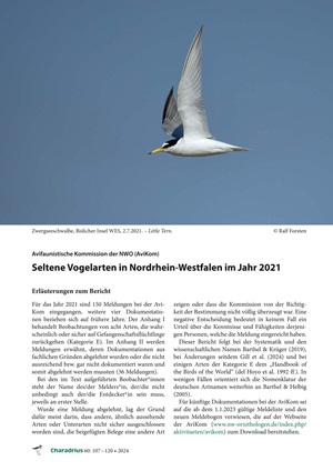 AviKom 2024