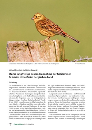 Artikel-Cover
