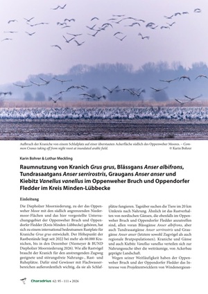 Artikel-Cover